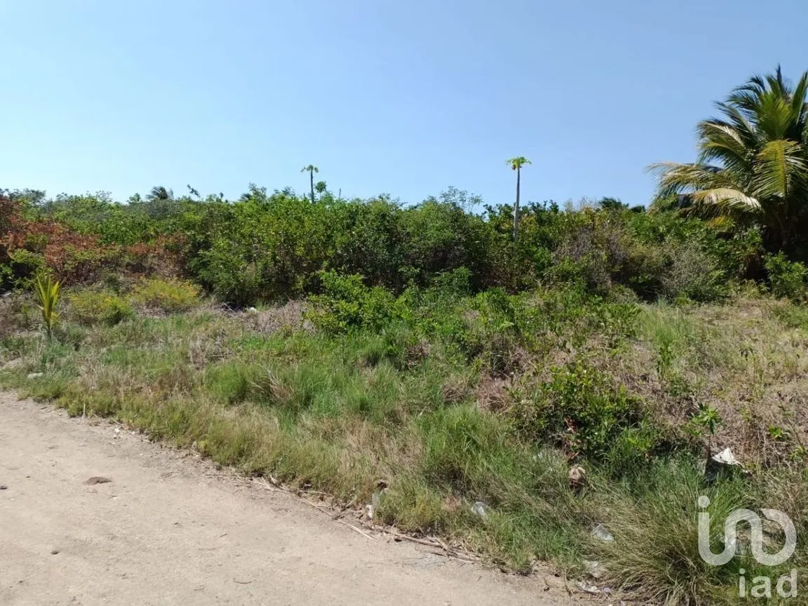 Terreno en Venta en Santa Clara, Dzidzantún, Yucatán | NEX-232006 | iad México | Foto 6 de 6