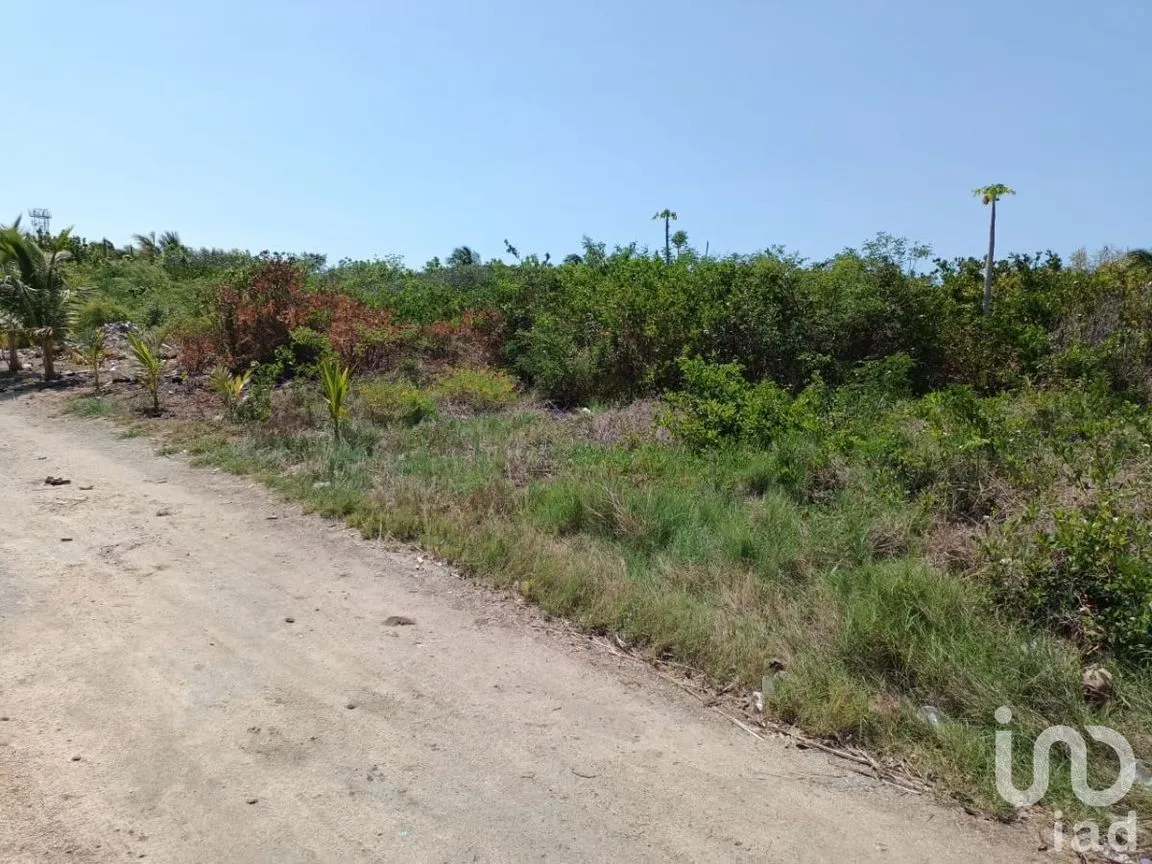 Terreno en Venta en Santa Clara, Dzidzantún, Yucatán | NEX-232006 | iad México | Foto 1 de 6
