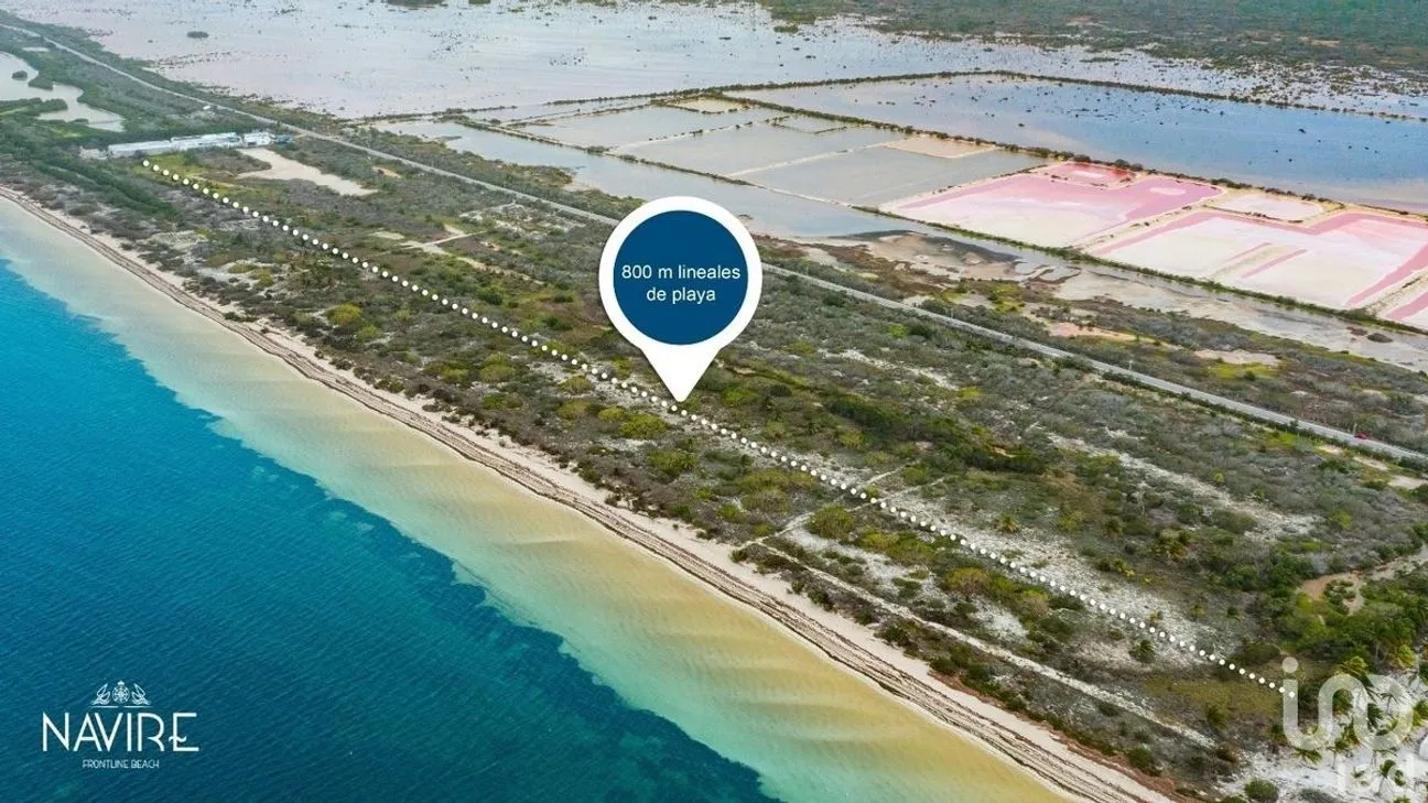 Terreno en Venta en Santa Clara, Dzidzantún, Yucatán | NEX-232007 | iad México | Foto 9 de 18