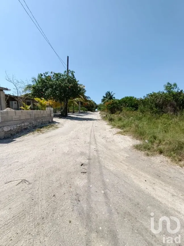 Terreno en Venta en Santa Clara, Dzidzantún, Yucatán | NEX-276390 | iad México | Foto 2 de 6