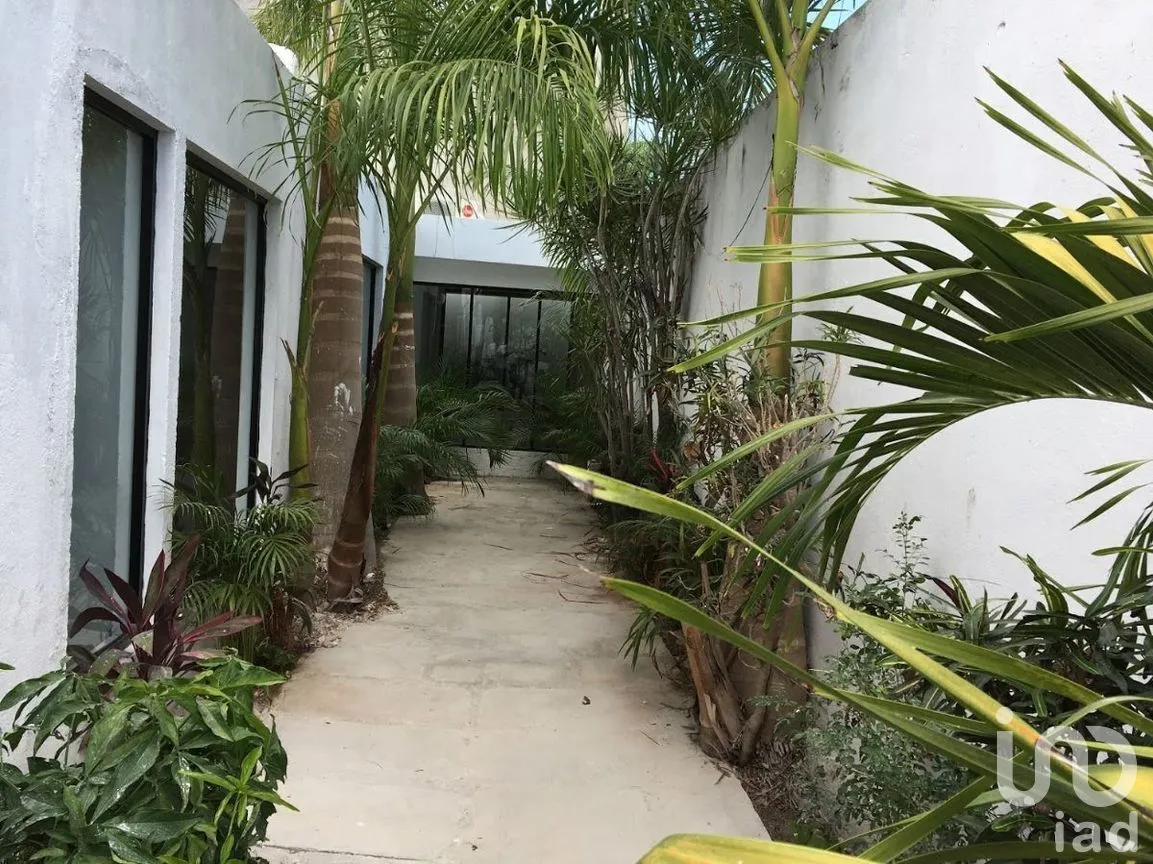Oficina en Renta en México, Mérida, Yucatán | NEX-279048 | iad México | Foto 16 de 18