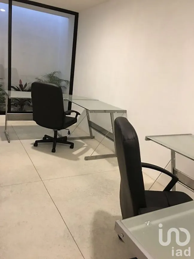 Oficina en Renta en México, Mérida, Yucatán | NEX-279048 | iad México | Foto 8 de 18