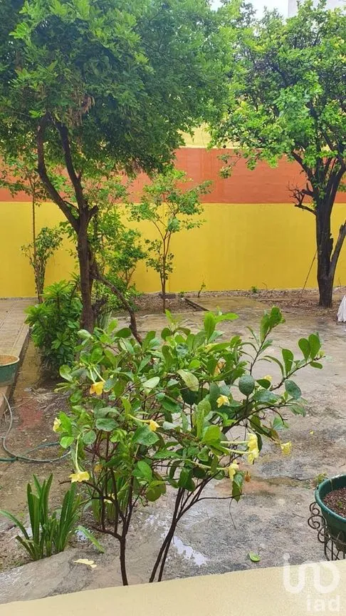 Casa en Venta en Mérida Centro, Mérida, Yucatán | NEX-284264 | iad México | Foto 14 de 25