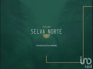 NEX-271998 - Departamento en Venta, con 2 recamaras, con 2 baños, con 77.49 m2 de construcción en Tulum Centro, CP 77760, Quintana Roo.