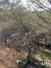 NEX-272003 - Terreno en Venta en Atizapán, CP 52945, Estado de México.