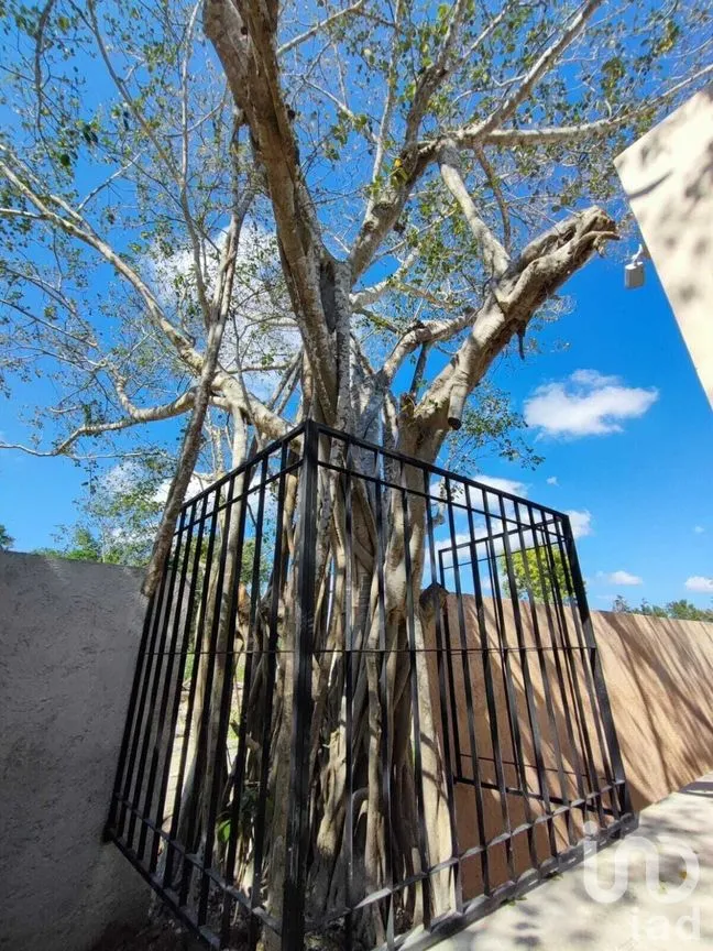 Terreno en Venta en Mérida Centro, Mérida, Yucatán | NEX-281929 | iad México | Foto 4 de 20