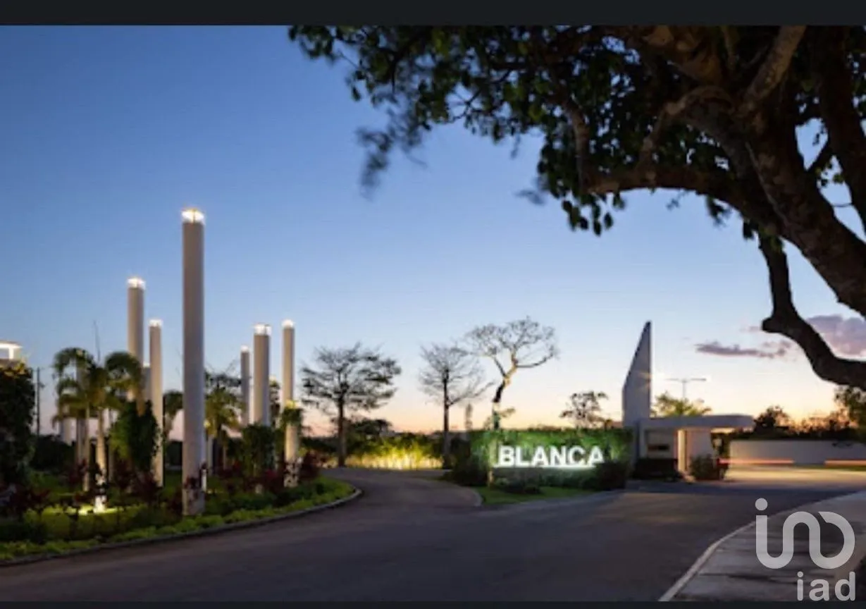 Terreno en Venta en Sierra Papacal, Mérida, Yucatán | NEX-281932 | iad México | Foto 3 de 7