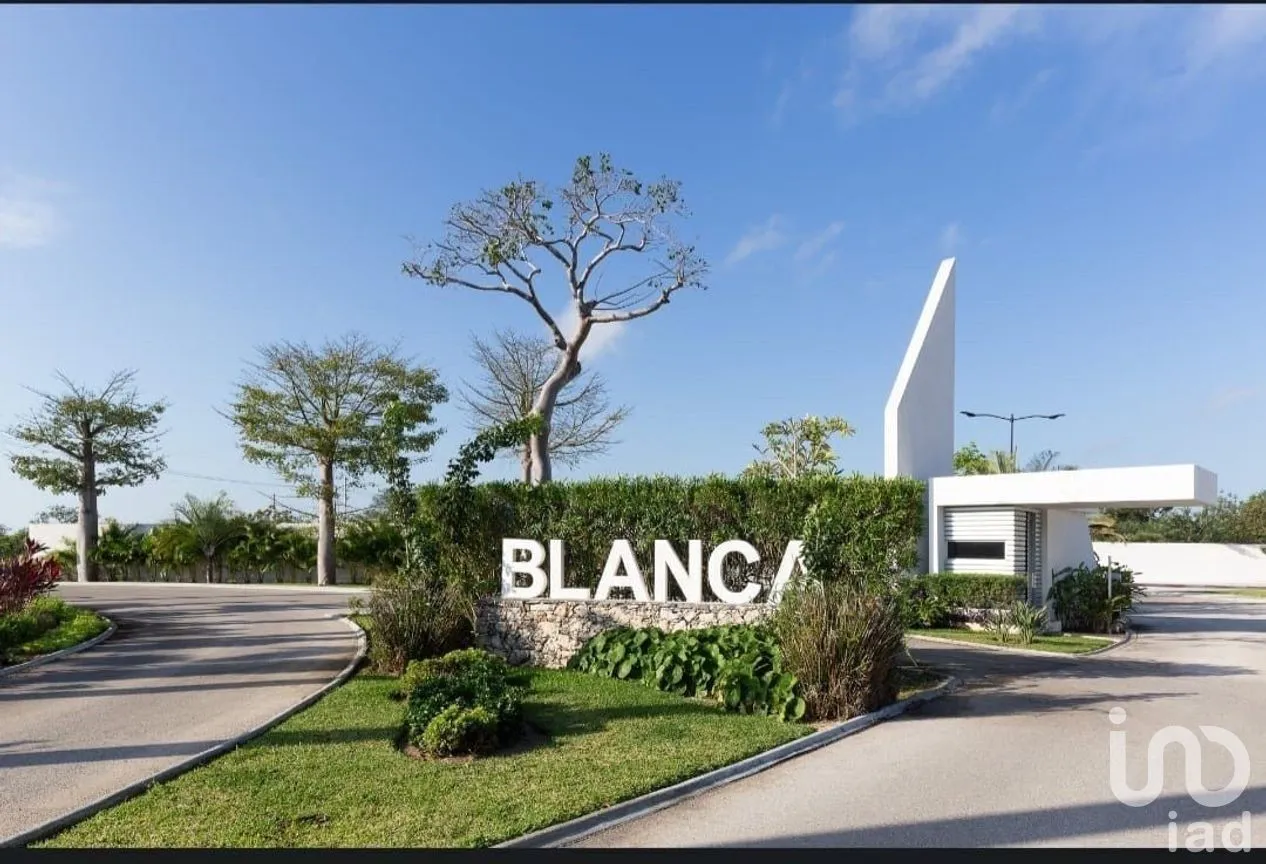 Terreno en Venta en Sierra Papacal, Mérida, Yucatán | NEX-281932 | iad México | Foto 1 de 7