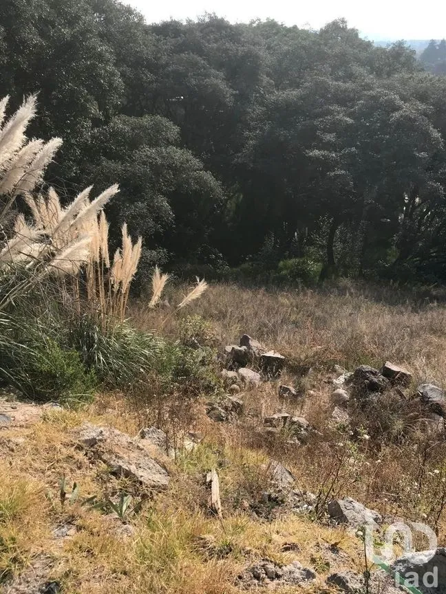 Terreno en Venta en Rancho San Juan, Atizapán de Zaragoza, Estado de México | NEX-285182 | iad México | Foto 3 de 8