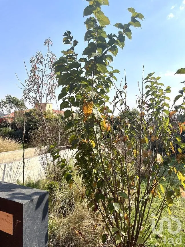 Casa en Venta en Club de Golf Valle Escondido, Atizapán de Zaragoza, Estado de México | NEX-288285 | iad México | Foto 22 de 36