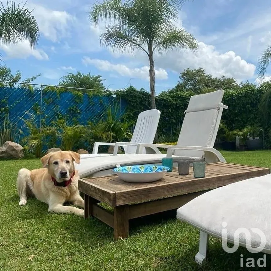 Casa en Venta en Jojutla de Juárez Centro, Jojutla, Morelos | NEX-288788 | iad México | Foto 4 de 11