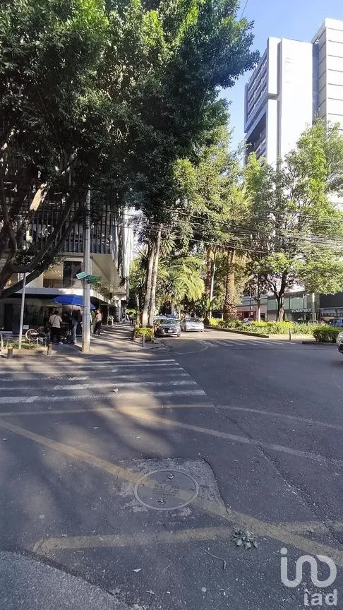 Oficina en Renta en Polanco I Sección, Miguel Hidalgo, Ciudad de México | NEX-289345 | iad México | Foto 19 de 23