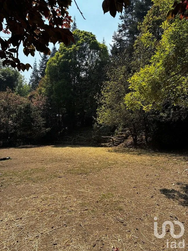 Casa en Venta en Santa Rosa Xochiac, Álvaro Obregón, Ciudad de México | NEX-294512 | iad México | Foto 21 de 22
