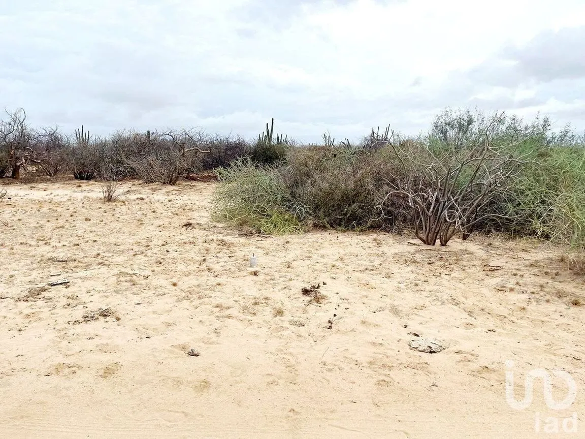 Terreno en Venta en Los Planes, La Paz, Baja California Sur | NEX-227156 | iad México | Foto 7 de 12
