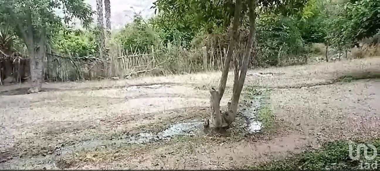 Terreno en Venta en San Miguel de Comondú, Comondú, Baja California Sur | NEX-228084 | iad México | Foto 2 de 8