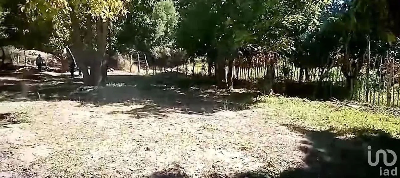Terreno en Venta en San Miguel de Comondú, Comondú, Baja California Sur | NEX-228084 | iad México | Foto 3 de 8