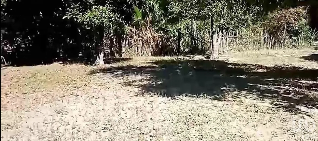 Terreno en Venta en San Miguel de Comondú, Comondú, Baja California Sur | NEX-228084 | iad México | Foto 5 de 8