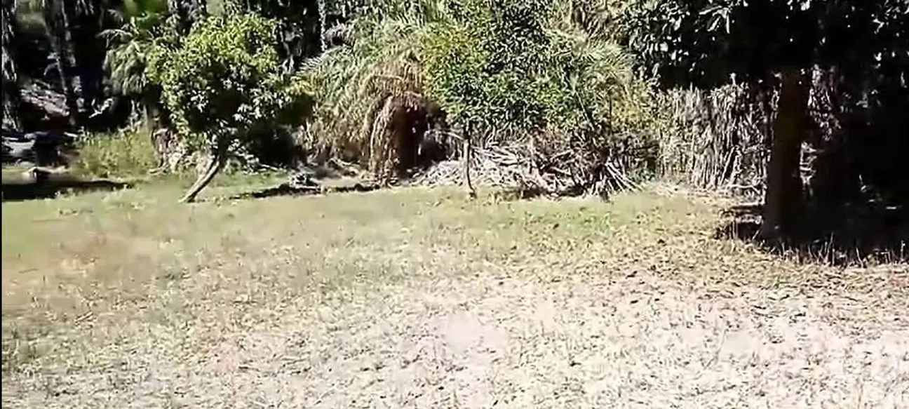 Terreno en Venta en San Miguel de Comondú, Comondú, Baja California Sur | NEX-228084 | iad México | Foto 6 de 8