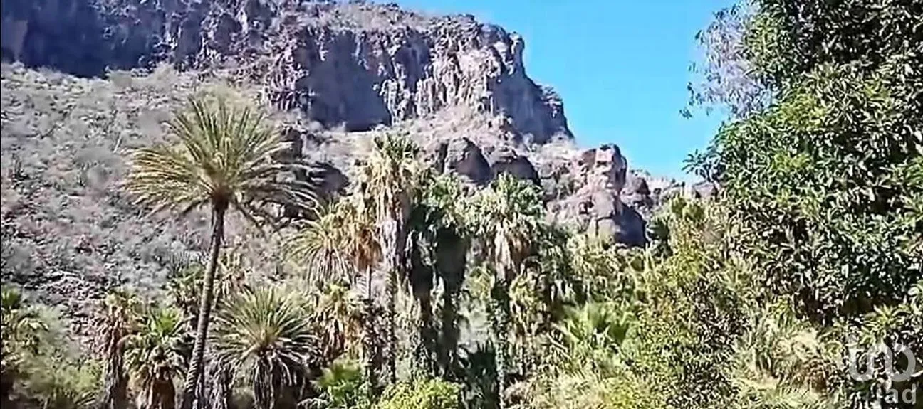 Terreno en Venta en San Miguel de Comondú, Comondú, Baja California Sur | NEX-228084 | iad México | Foto 7 de 8