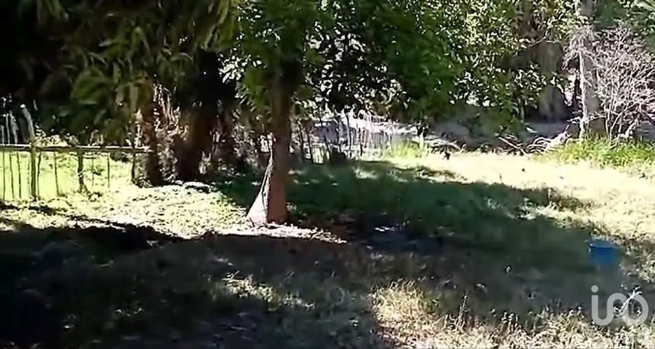 Terreno en Venta en San Miguel de Comondú, Comondú, Baja California Sur | NEX-228084 | iad México | Foto 8 de 8