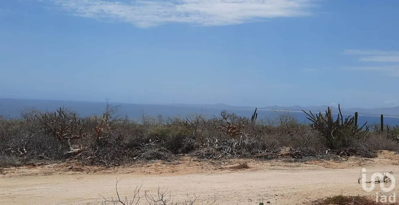 Terreno en Venta en El Sargento, La Paz, Baja California Sur | NEX-228194 | iad México | Foto 11 de 15