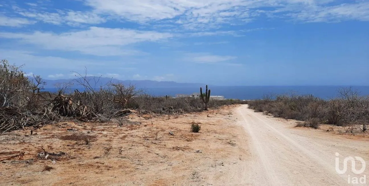 Terreno en Venta en El Sargento, La Paz, Baja California Sur | NEX-228194 | iad México | Foto 4 de 15