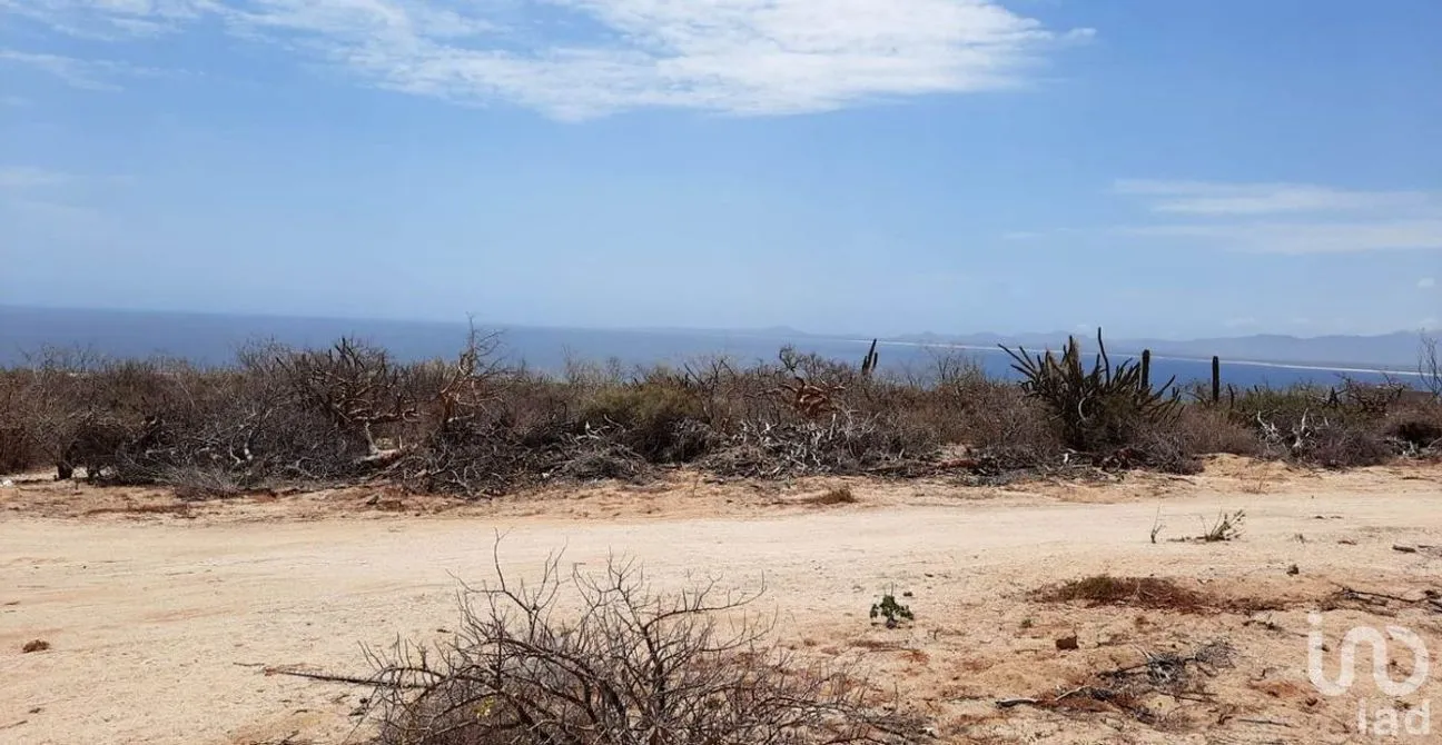 Terreno en Venta en El Sargento, La Paz, Baja California Sur | NEX-228194 | iad México | Foto 10 de 15