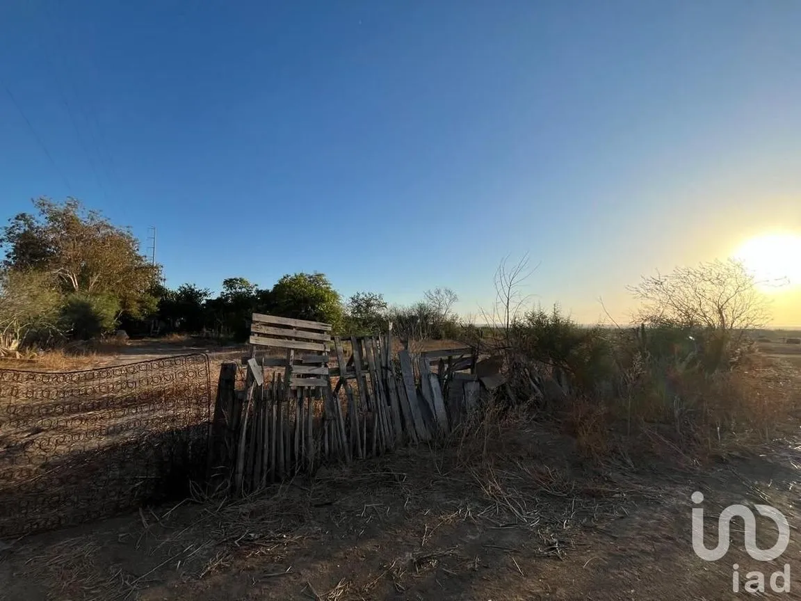 Terreno en Venta en Villas de La Paz, La Paz, Baja California Sur | NEX-228405 | iad México | Foto 5 de 9