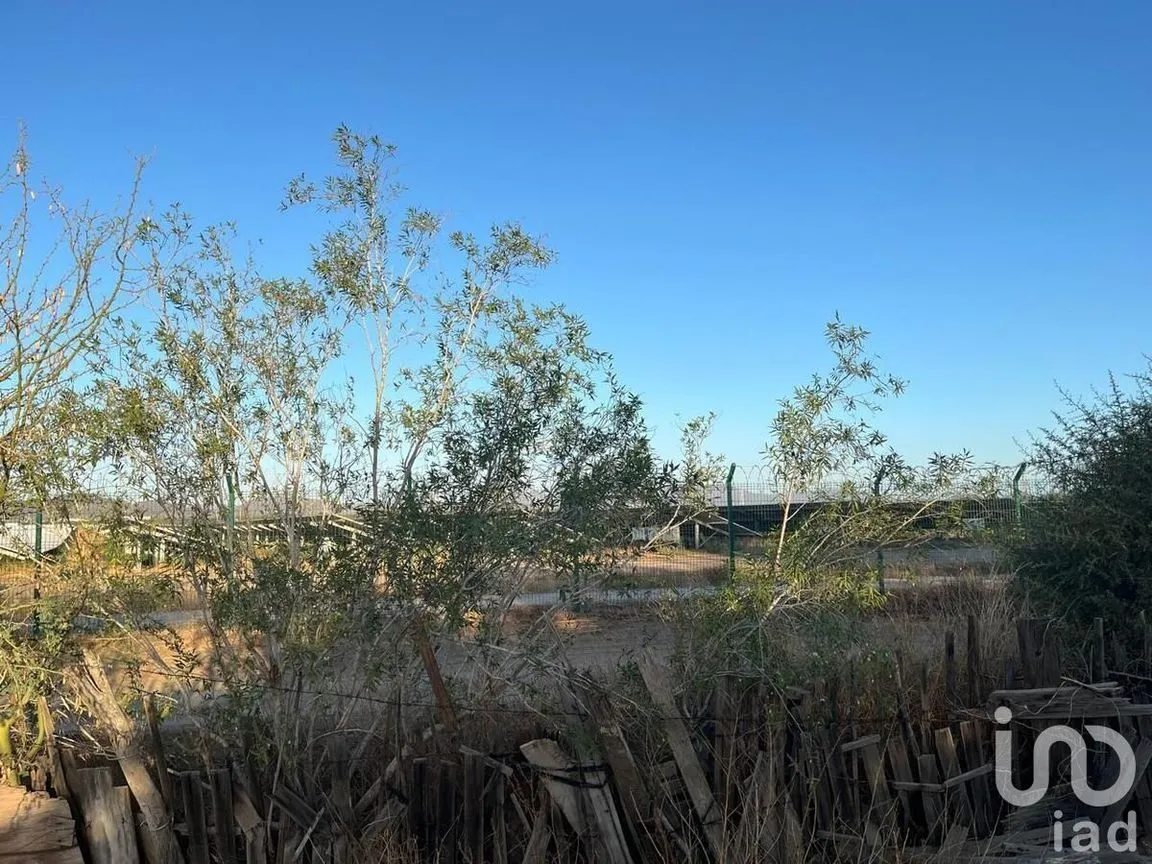 Terreno en Venta en Villas de La Paz, La Paz, Baja California Sur | NEX-228405 | iad México | Foto 7 de 9