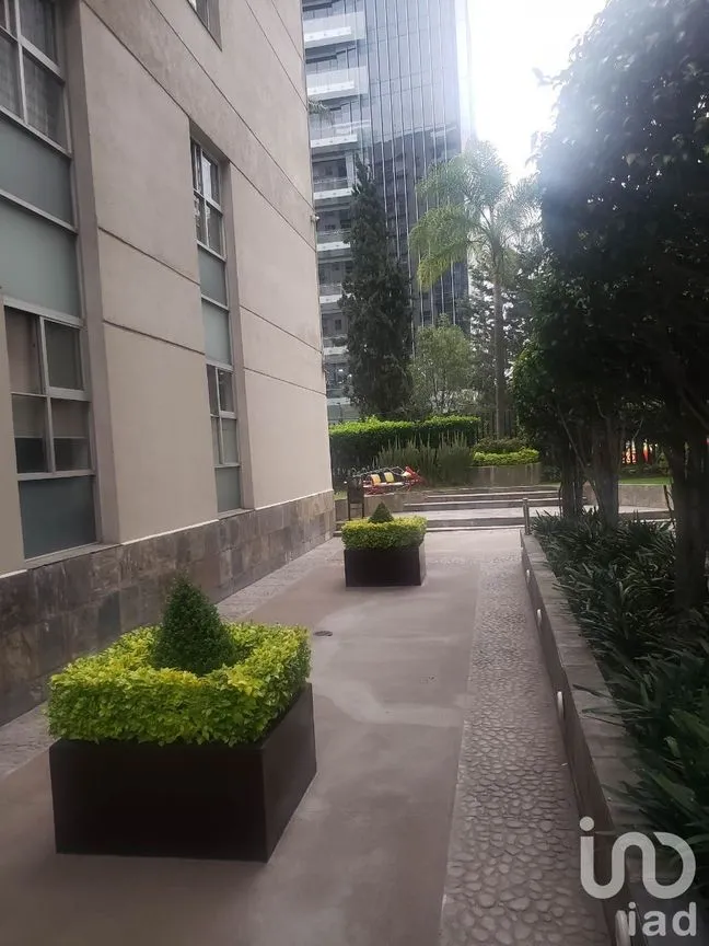 Departamento en Venta en Granada, Miguel Hidalgo, Ciudad de México | NEX-227779 | iad México | Foto 28 de 34