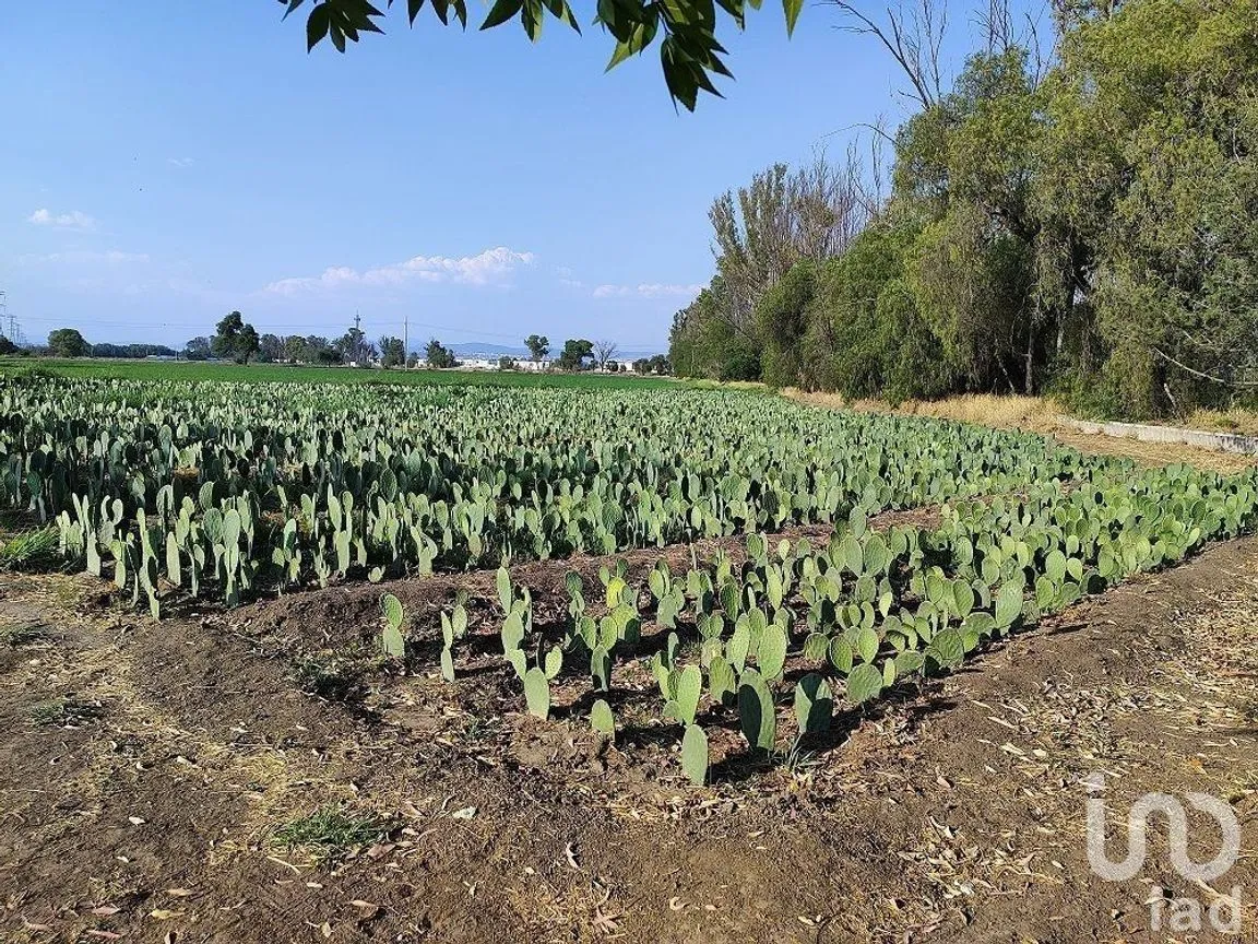 Terreno en Venta en El Pueblito, Corregidora, Querétaro | NEX-227068 | iad México | Foto 4 de 6