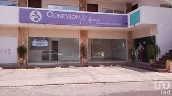 NEX-201164 - Local en Renta, con 1 baño, con 50 m2 de construcción.