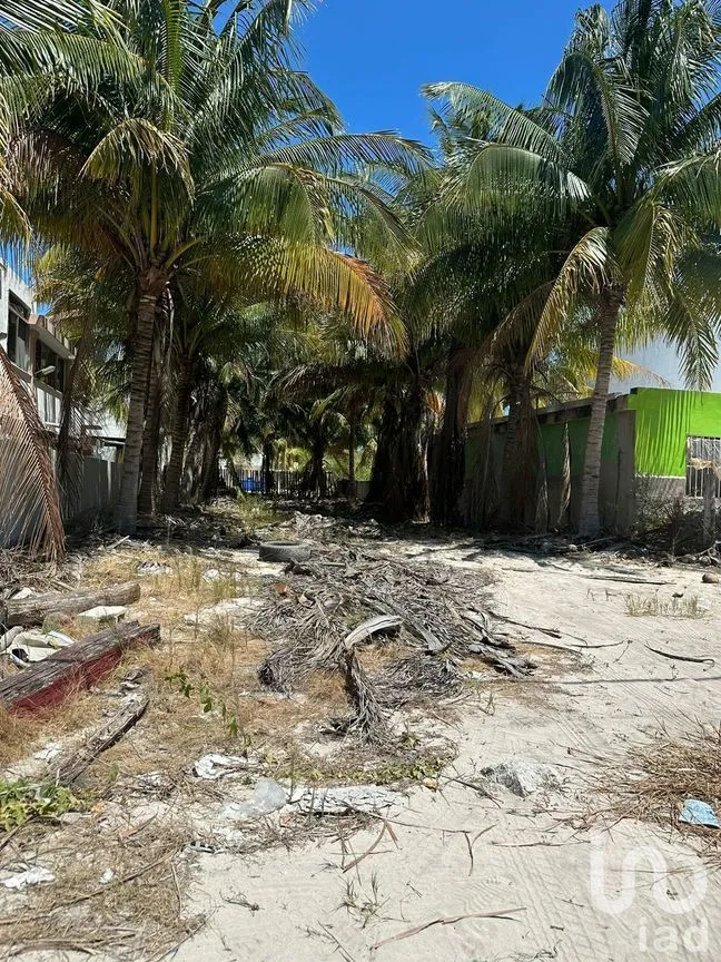 Terreno en Venta en Chicxulub Puerto, Progreso, Yucatán | NEX-229970 | iad México | Foto 1 de 2