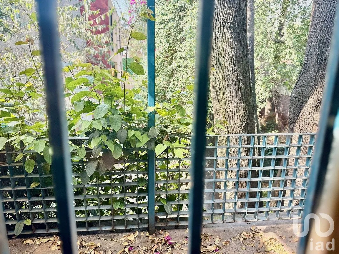 Casa en Venta en Villa Coyoacán, Coyoacán, Ciudad de México | NEX-293850 | iad México | Foto 33 de 45