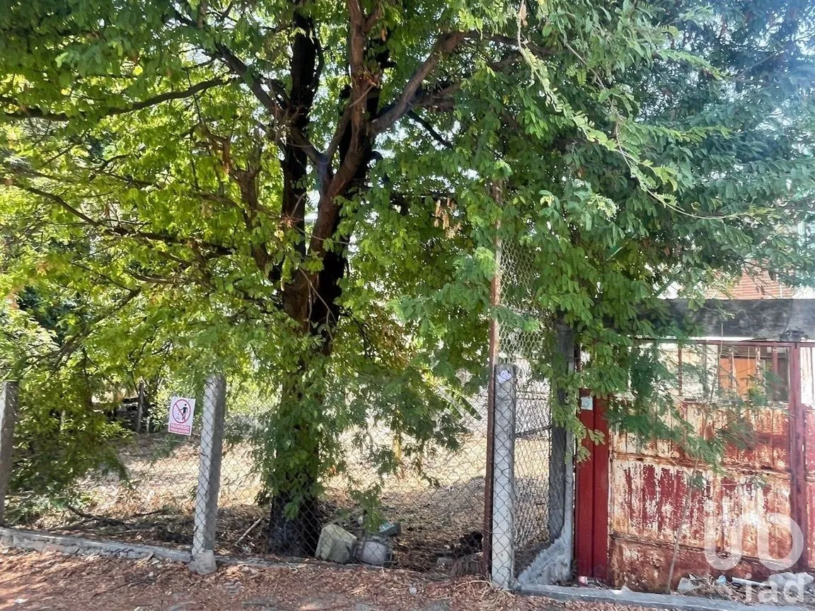 Terreno en Renta en Los Laguitos, Tuxtla Gutiérrez, Chiapas | NEX-228349 | iad México | Foto 8 de 11