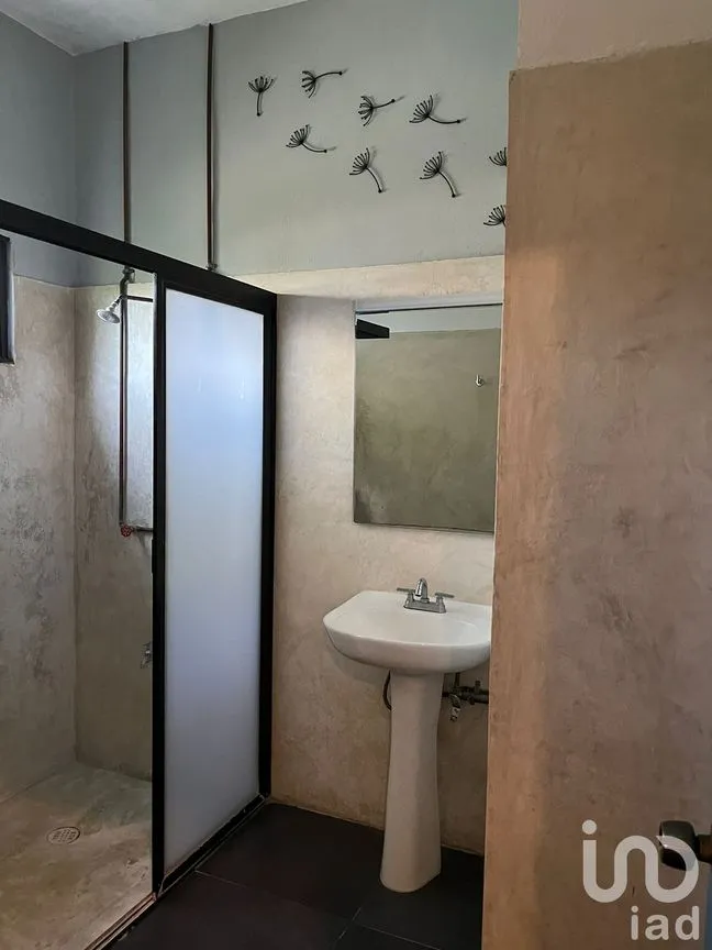 Departamento en Renta en Benito Juárez Nte, Mérida, Yucatán | NEX-228314 | iad México | Foto 12 de 16