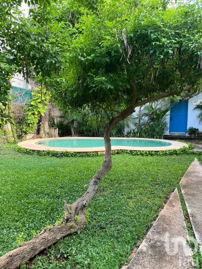 Departamento en Renta en Benito Juárez Nte, Mérida, Yucatán | NEX-228314 | iad México | Foto 16 de 16