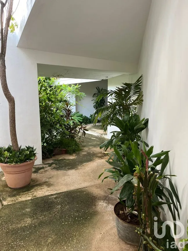 Departamento en Renta en Benito Juárez Nte, Mérida, Yucatán | NEX-228314 | iad México | Foto 3 de 16