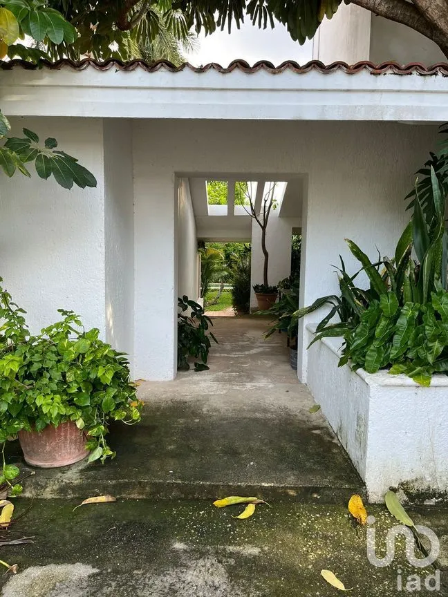 Departamento en Renta en Benito Juárez Nte, Mérida, Yucatán | NEX-228314 | iad México | Foto 1 de 16