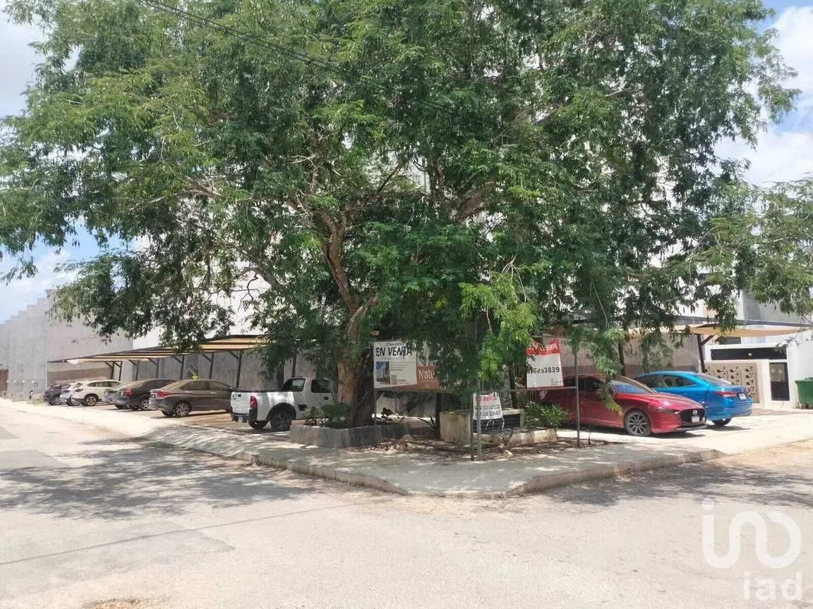 Departamento en Renta en Santa Gertrudis Copo, Mérida, Yucatán | NEX-229299 | iad México | Foto 3 de 20