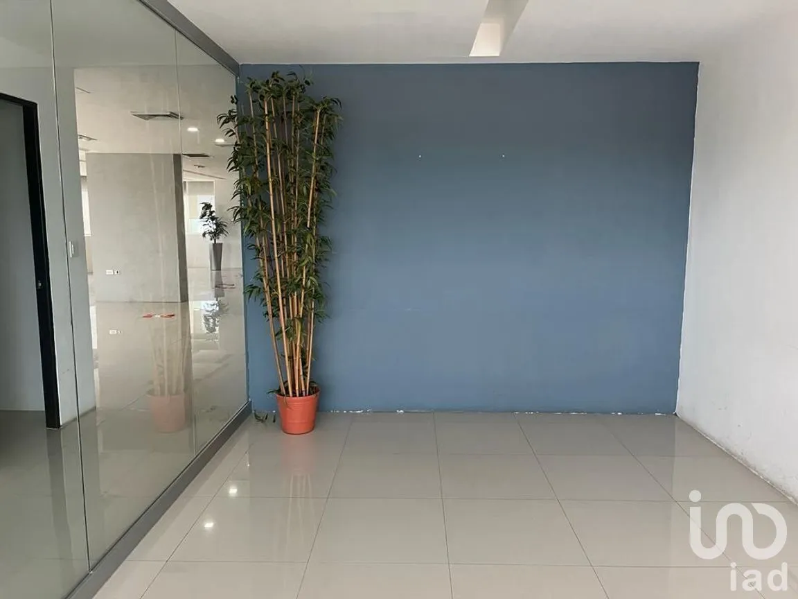 Oficina en Renta en Gonzalo Guerrero, Mérida, Yucatán | NEX-266411 | iad México | Foto 6 de 11