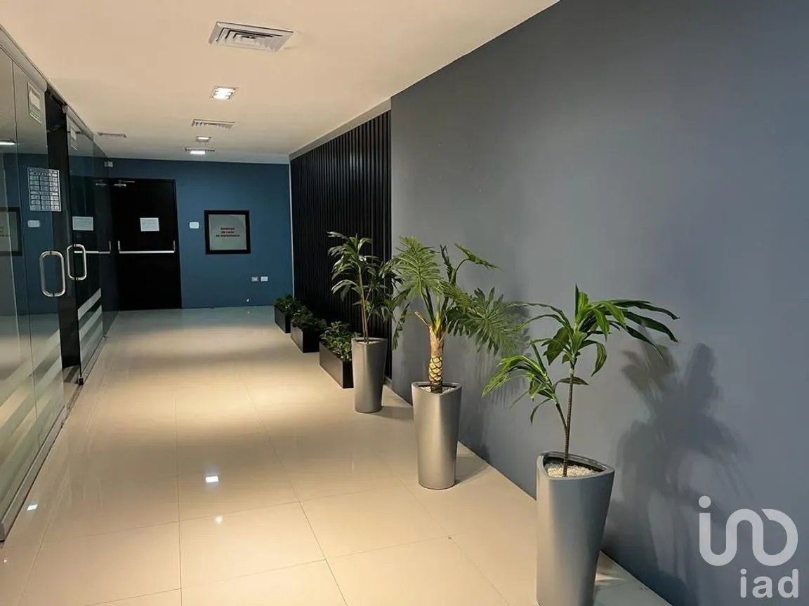 Oficina en Renta en Gonzalo Guerrero, Mérida, Yucatán | NEX-266411 | iad México | Foto 1 de 11