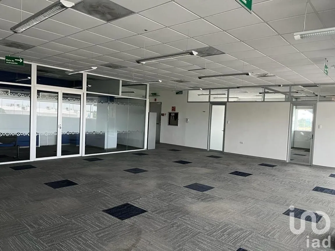 Oficina en Renta en Gonzalo Guerrero, Mérida, Yucatán | NEX-266412 | iad México | Foto 2 de 9