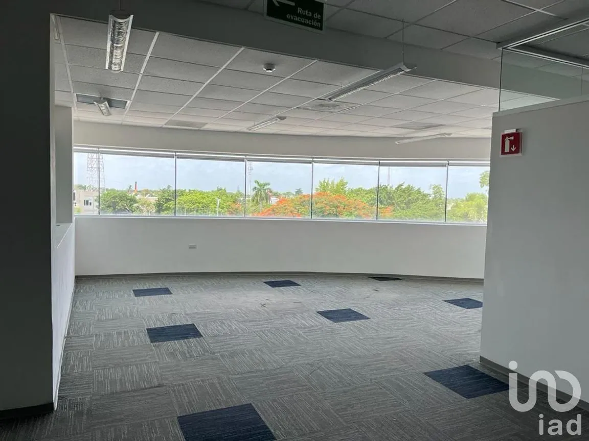 Oficina en Renta en Gonzalo Guerrero, Mérida, Yucatán | NEX-266412 | iad México | Foto 3 de 9