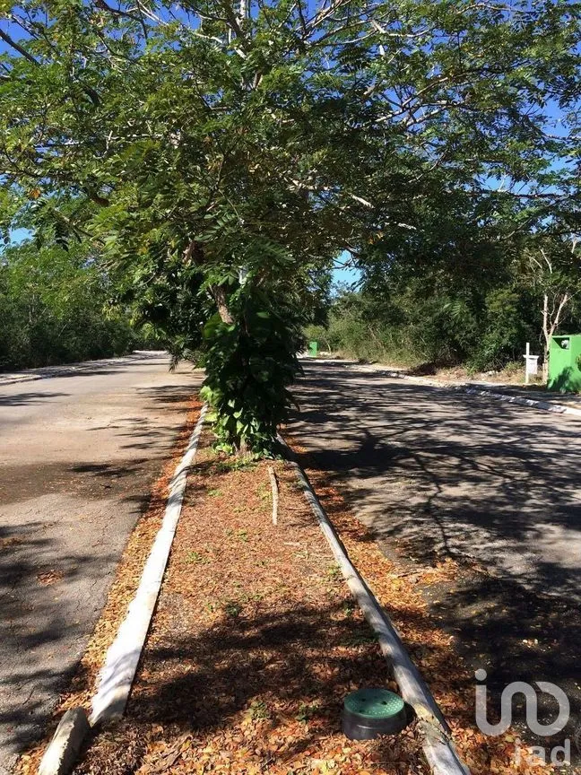 Terreno en Venta en Xcanatún, Mérida, Yucatán | NEX-266463 | iad México | Foto 1 de 1