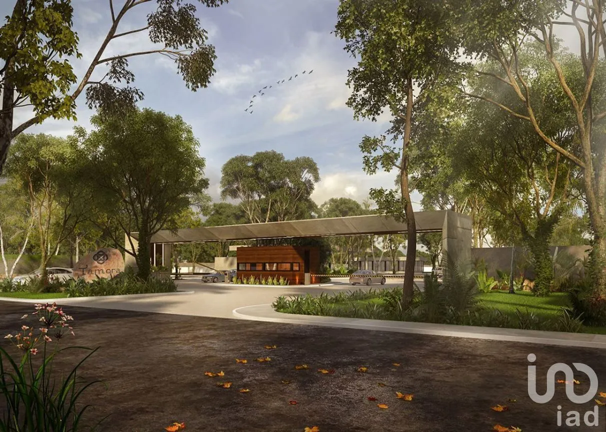 Terreno en Venta en Los Laureles, Conkal, Yucatán | NEX-266470 | iad México | Foto 2 de 16