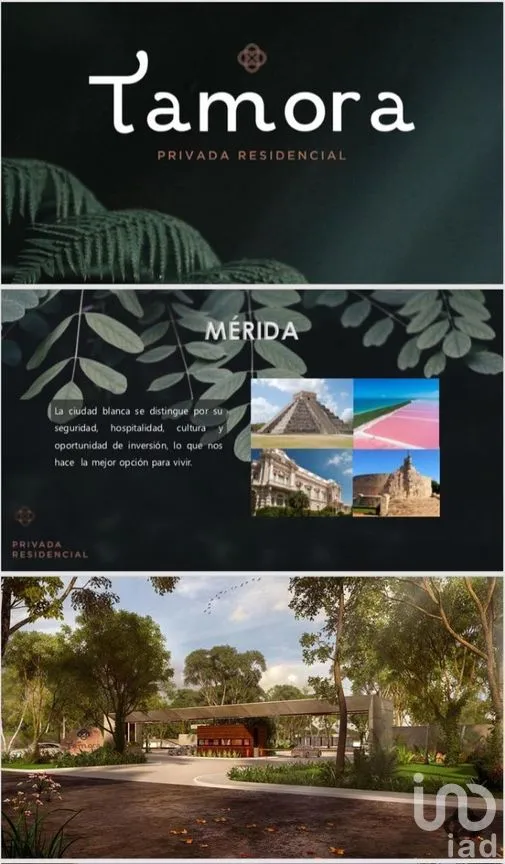 Terreno en Venta en Los Laureles, Conkal, Yucatán | NEX-266470 | iad México | Foto 13 de 16
