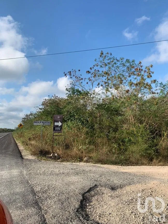 Terreno en Venta en Chicxulub, Chicxulub Pueblo, Yucatán | NEX-266497 | iad México | Foto 9 de 11