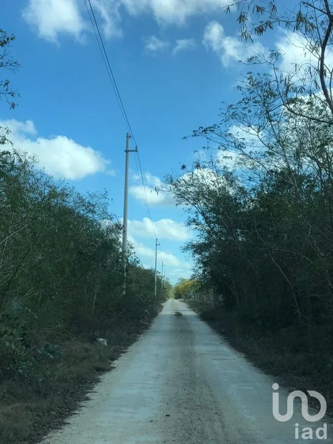 Terreno en Venta en Chicxulub, Chicxulub Pueblo, Yucatán | NEX-266497 | iad México | Foto 10 de 11