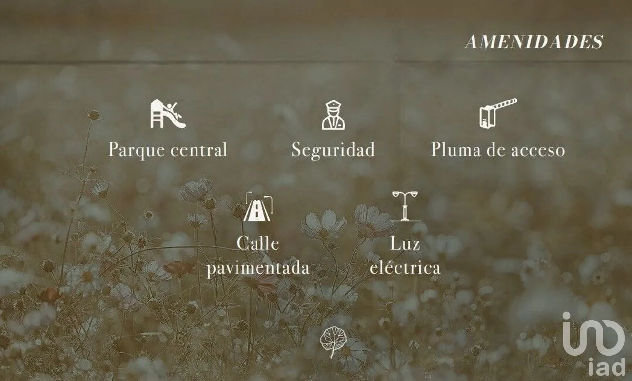 Terreno en Venta en Conkal, Conkal, Yucatán | NEX-266506 | iad México | Foto 2 de 3